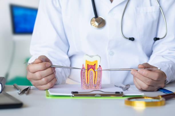 Best Mobile Emergency Dentist in Chigan Center, MI
